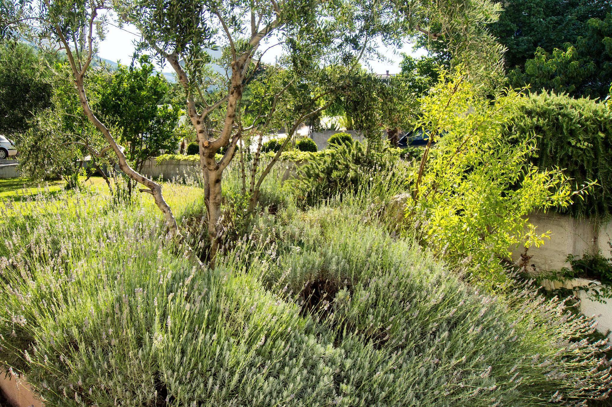 Villa Lavanda Podstrana Luaran gambar